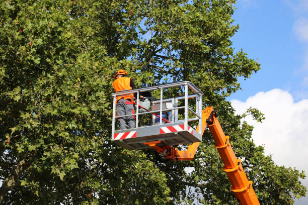 Mulching Services in El Verano, CA